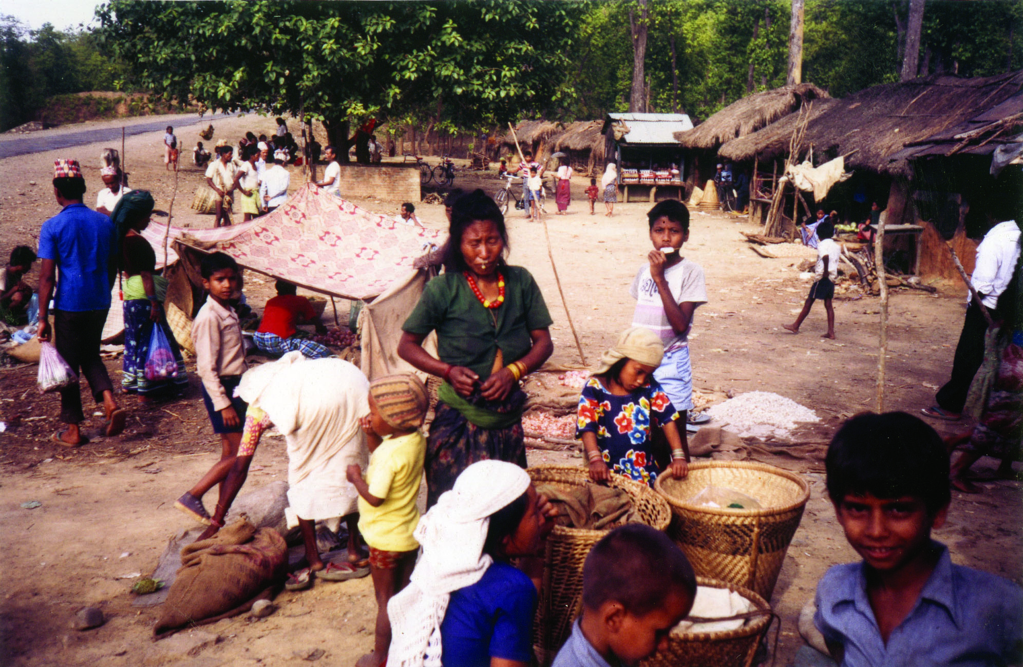 Village life near Bhurwal and hope we might find means of survival amongst it. Day 16