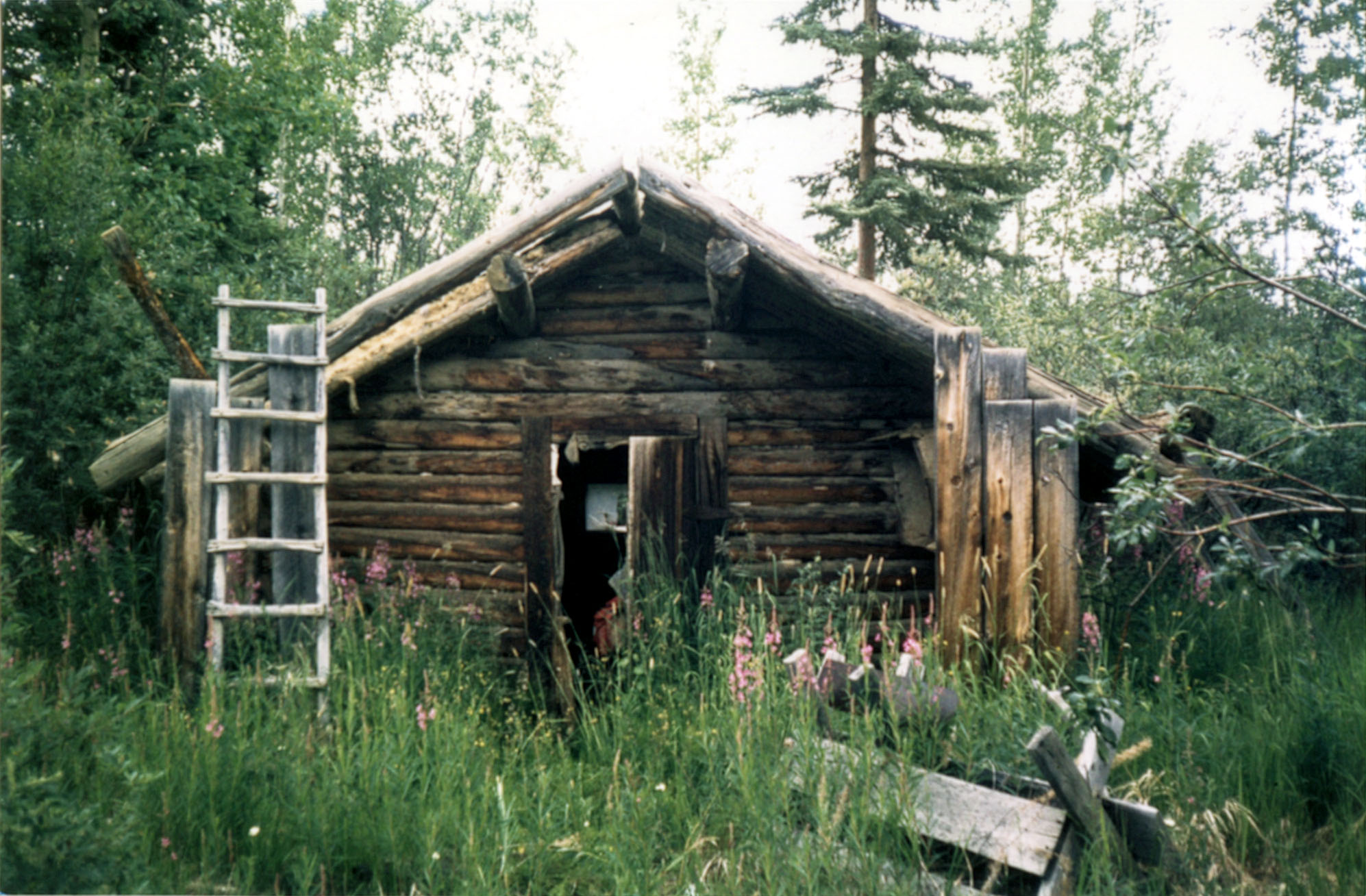 Klondike H/way log cabin rain shelter! Day 23