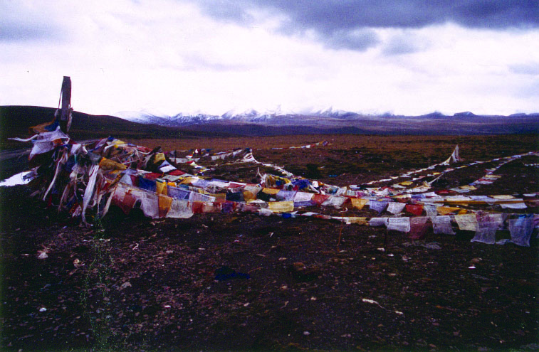 Prayer flags at 5,220 metres on Jia Tsuo La, on the way from Shigatse to Tingri. Day 18